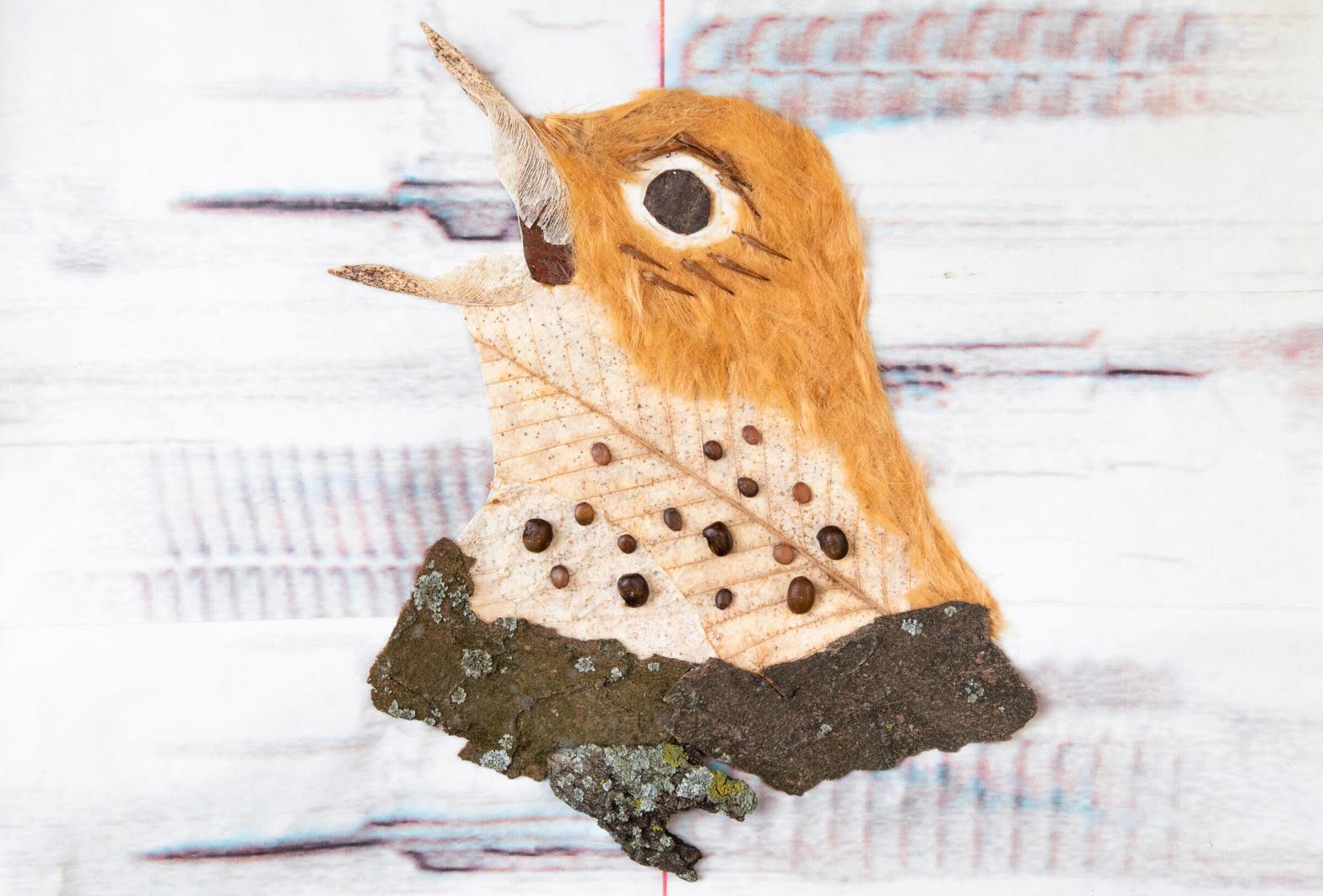 The Foraged Wood Thrush by Jessica Maffia. Photo: Luke Franke/Audubon