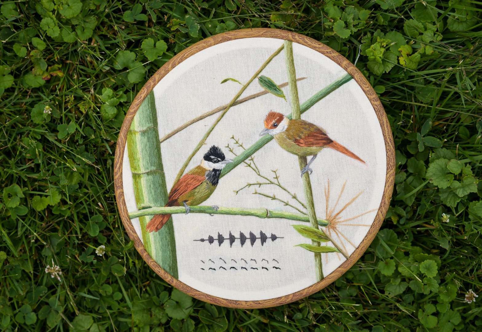 Photo: Heather Ainsworth/Audubon