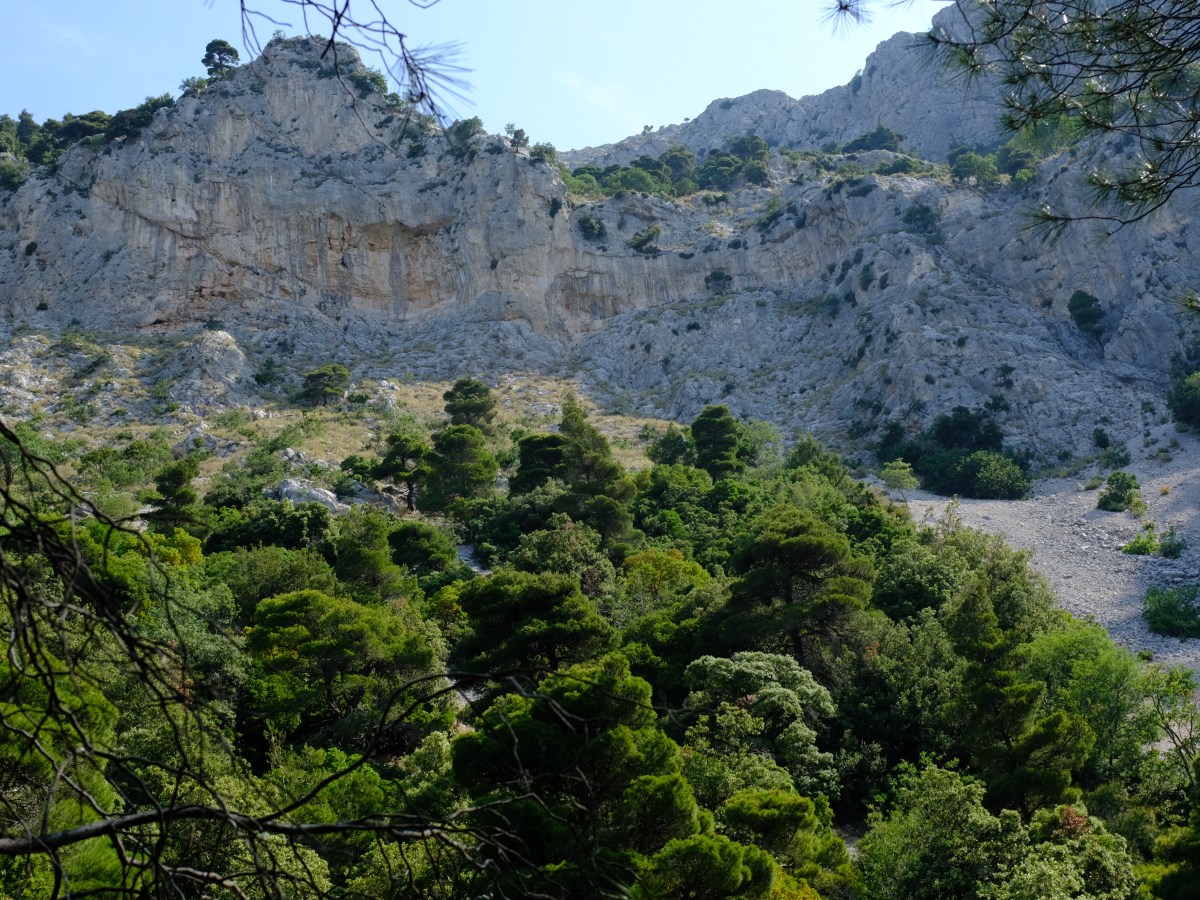 Burnout prophylactic