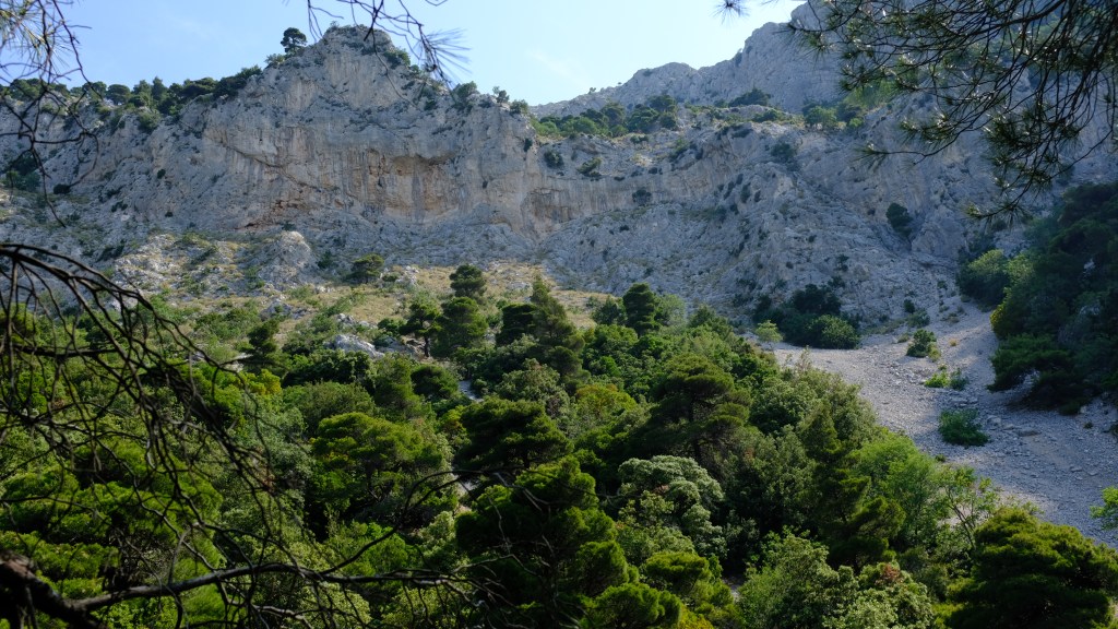 Burnout prophylactic