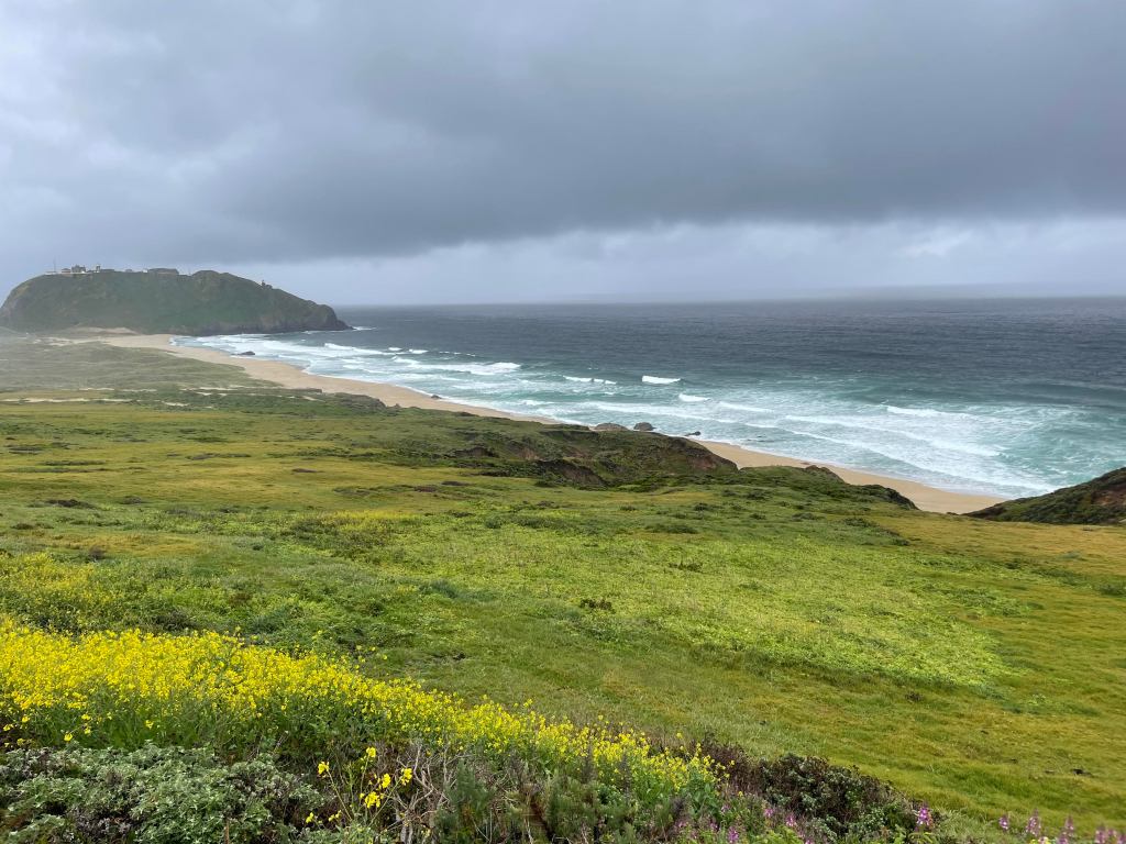 I absorbed her enchantment as though through&nbsp;osmosis