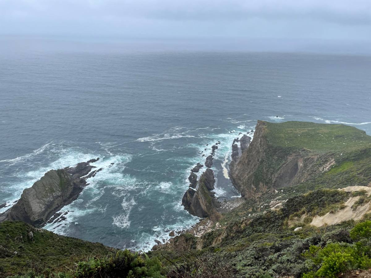 I may not have that dog in&nbsp;me